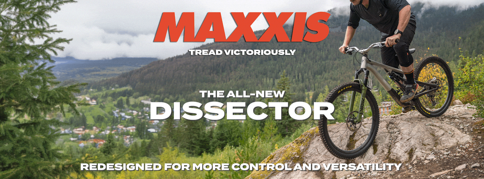 Maxxis Dissector