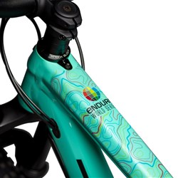 DYEDBRO FRAME PROTECTION WRAP ENDURO WORLD SERIES COLOUR