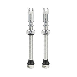 JUICE LUBES TUBELESS VALVES   SILVER 65MM