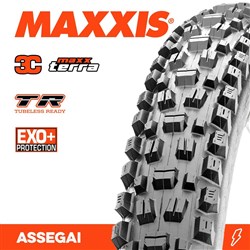 ASSEGAI 29 X 2.60 3C TERRA EXO+ TR FOLD 60TPI E-25