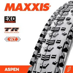 ASPEN 29 X 2.40 WT EXO TR FOLD 120 TPI E-25