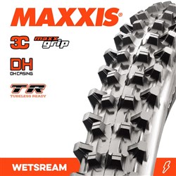 WETSCREAM 29 X 2.50 3C GRIP DH TR FOLD 60X2TPI E-25