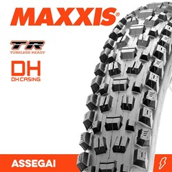 ASSEGAI 29 X 2.50 WT BIKEPARK / DH / TR WIRE 60X2TPI E-25