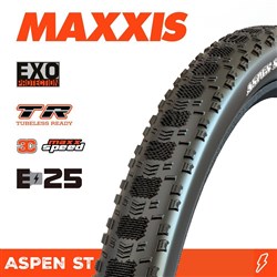 ASPEN ST 29 X 2.25 TEAM SPEC EXO TR NEW MAXXSPEED FOLD 120TPI E-25