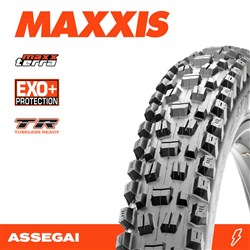 ASSEGAI 29 X 2.50 WT MAXXTERRA EXO+ TR (NEW 2026) FOLD 60TPI E-25