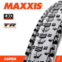 ASPEN 29 X 2.10 EXO TR FOLD 120TPI