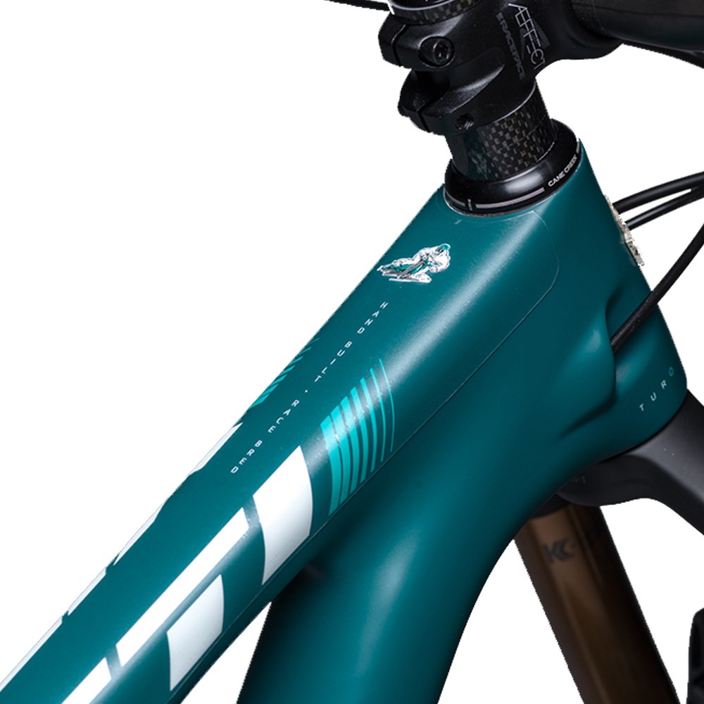 Bike clear wrap cheap