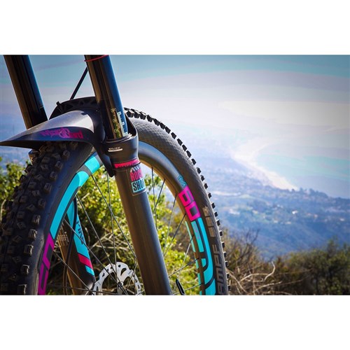 Ams fork protection deals