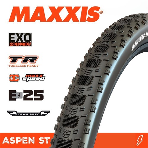 ASPEN ST 29 X 2.25 TEAM SPEC EXO TR NEW MAXXSPEED FOLD 170TPI E-25