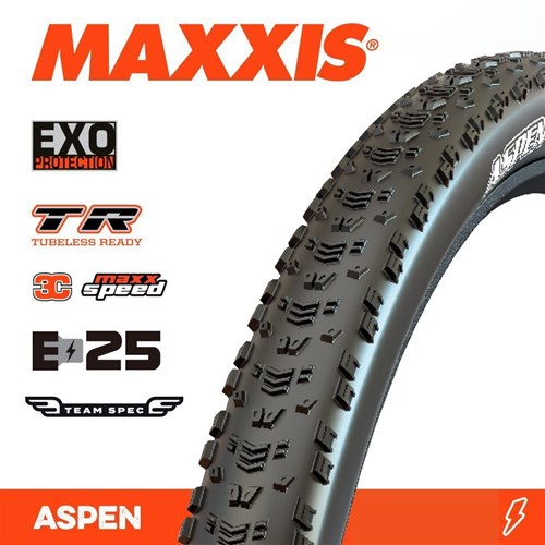 ASPEN 29 X 2.25 TEAM SPEC EXO TR NEW MAXXSPEED FOLD 170TPI E 25