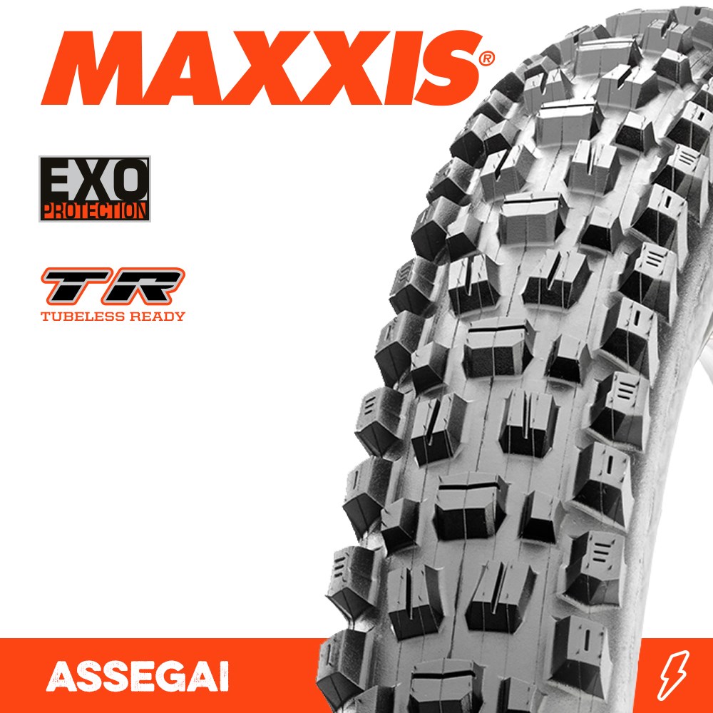 dt swiss ex 471 mtb rim